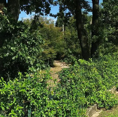 Bardino Villa *